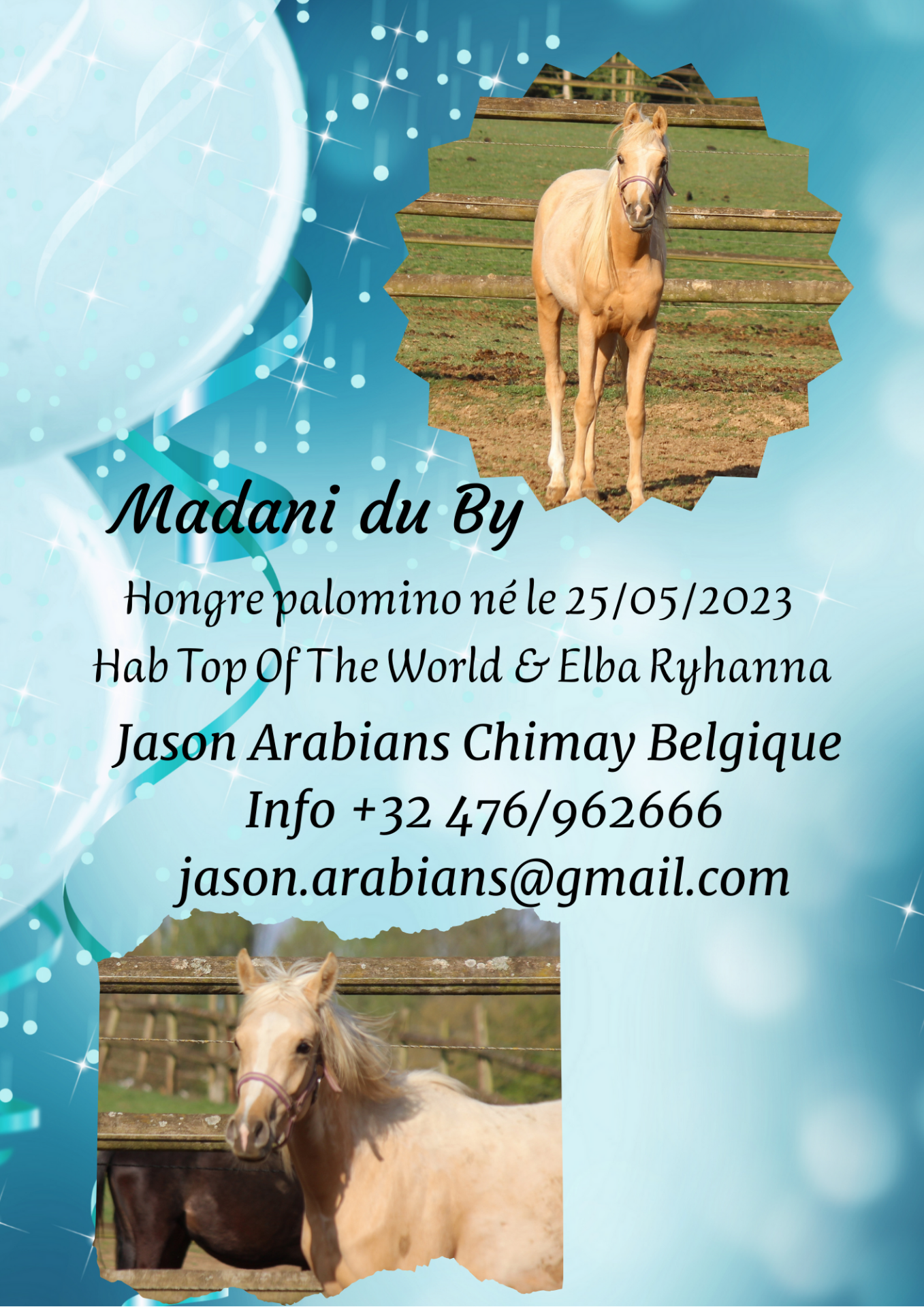 Madani du by