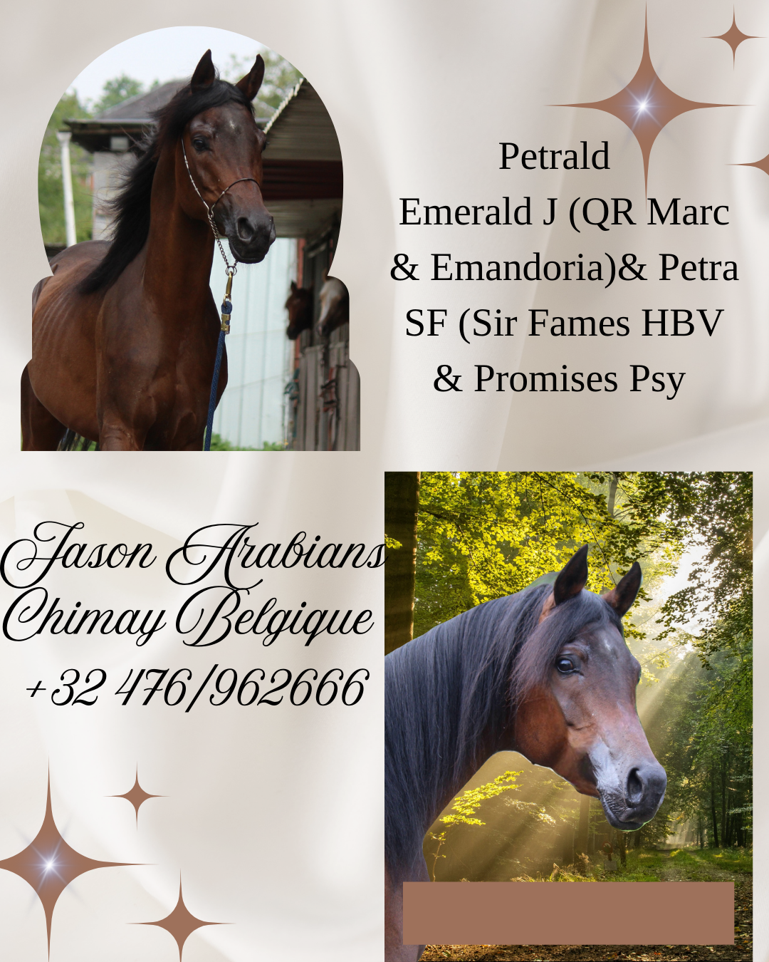 Petrald par emerald j 1